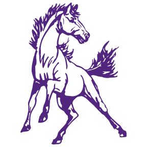Belle Fourche School District